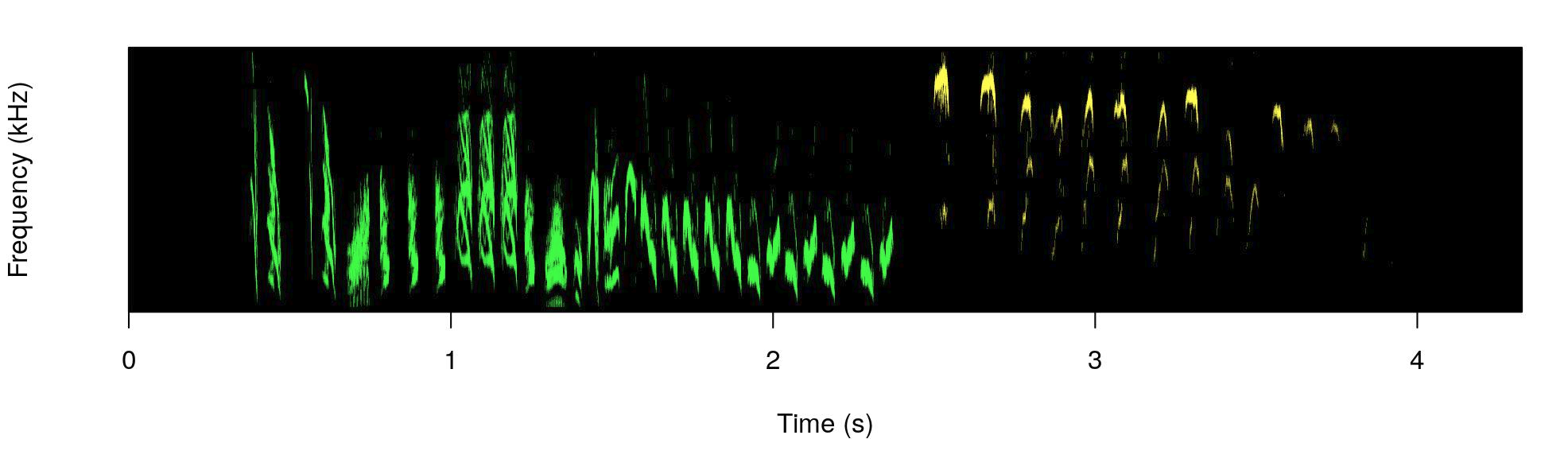 house wren duet